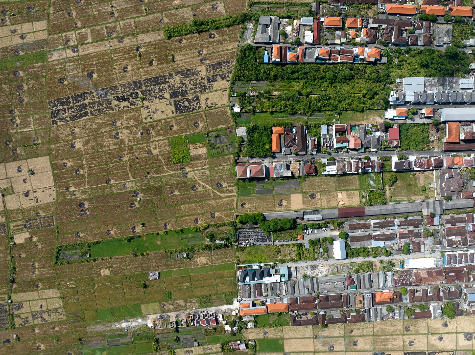 Villas, hotels, and businesses have steadily replaced rice fields in the quest to service the island's massive reliance on tourism.