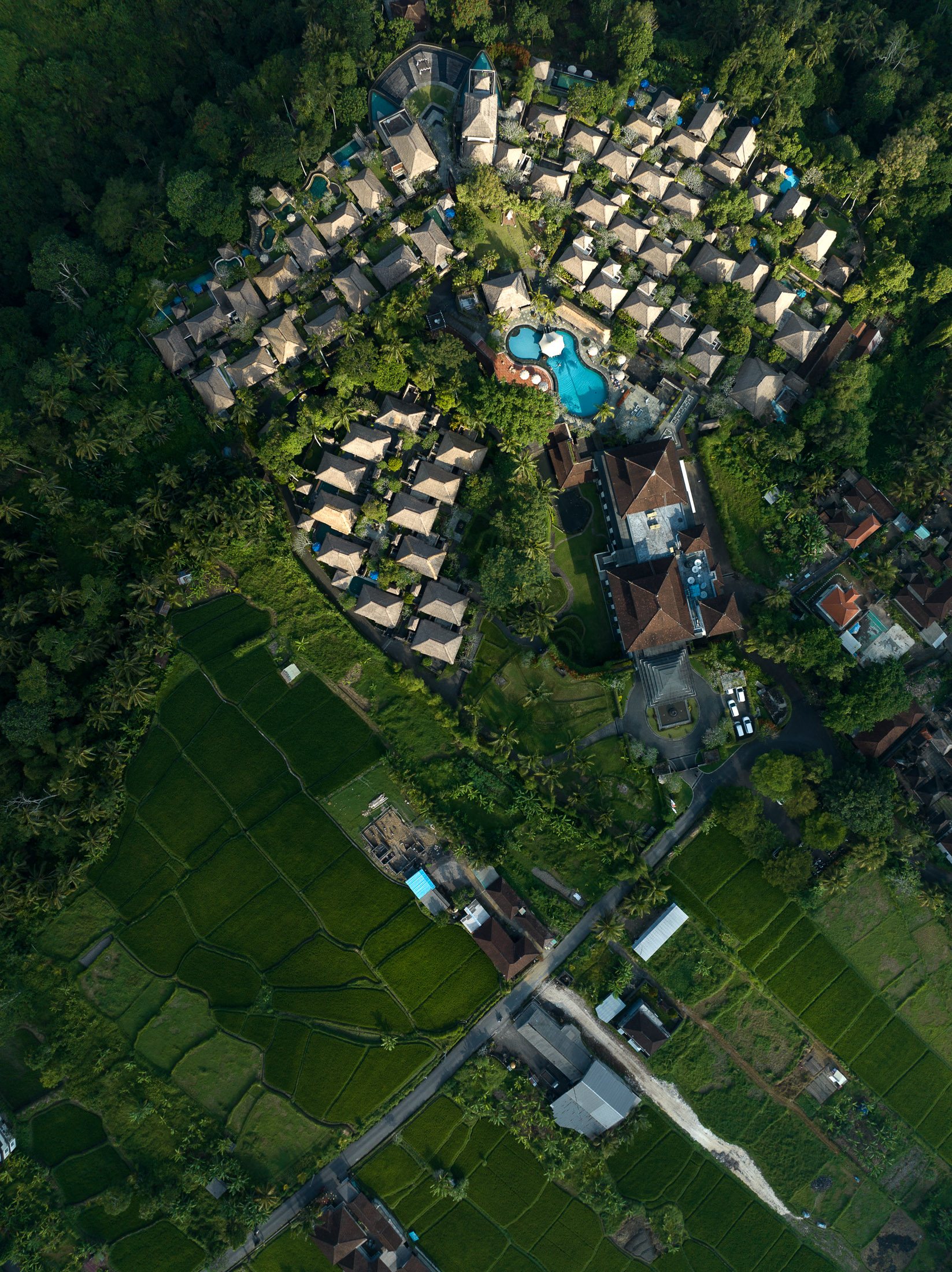 Luxury hotels near Ubud are carefully designed to harmonize with the surrounding rice fields and landscape, but major problems of water