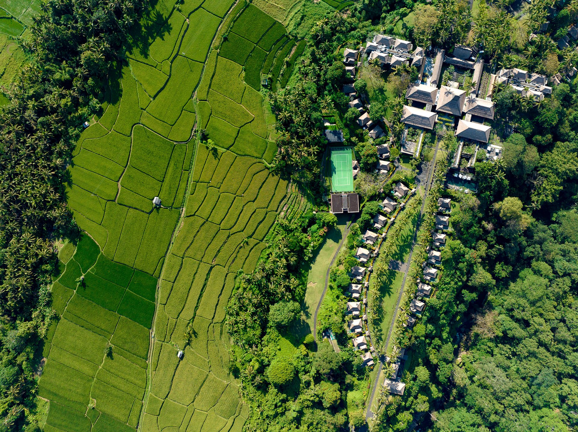 Rice terraces are the defining characteristic of the Balinese landscape, carefully managed over hundreds of years in a system of water