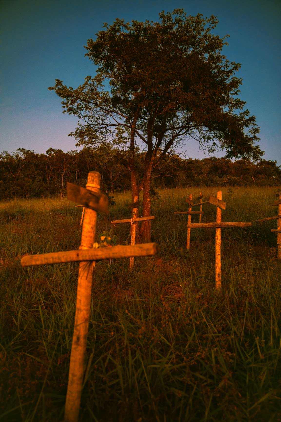 an image of wooden crosses on a hillside memorializing victims of the Brumadinho dam collapse.