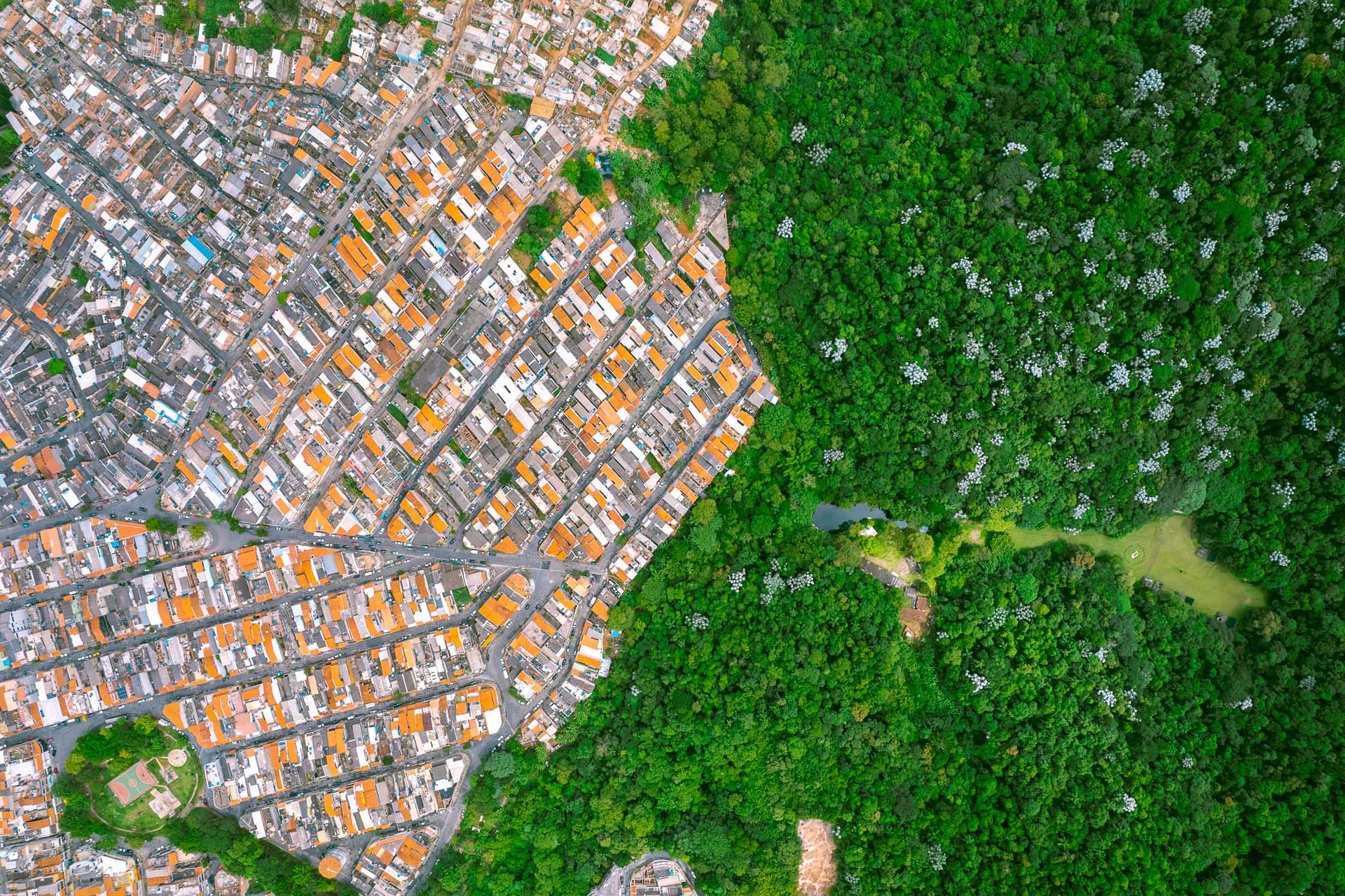 Aerial image showing the stark boundary between São Paulo’s dense low-income housing with orange rooftops and the lush green forest of Jaraguá State Park.