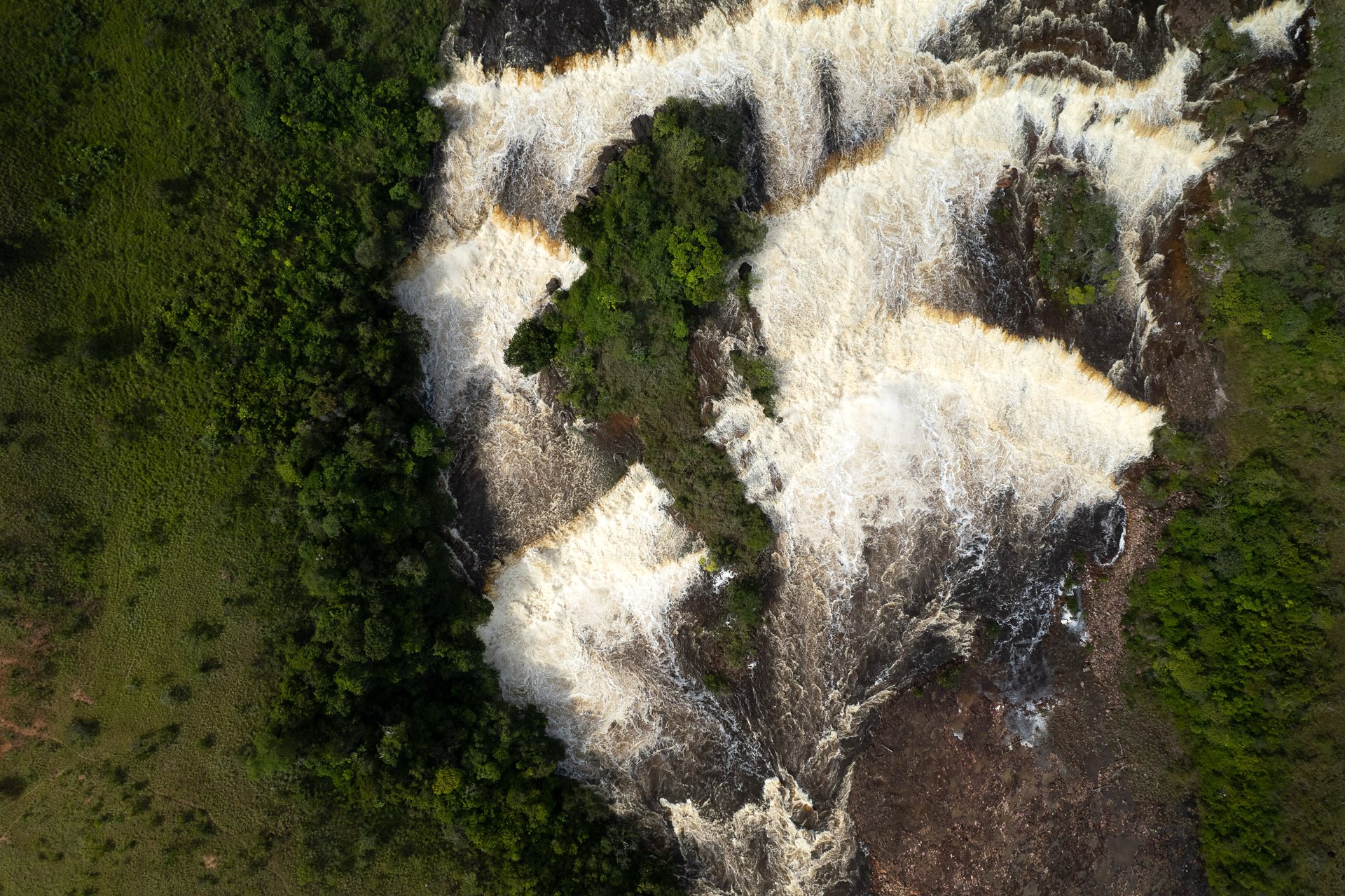 The Mau River, between Brazil and Guyana, has an island within Oriduik Falls that looks to me like a shark swimming upstream.