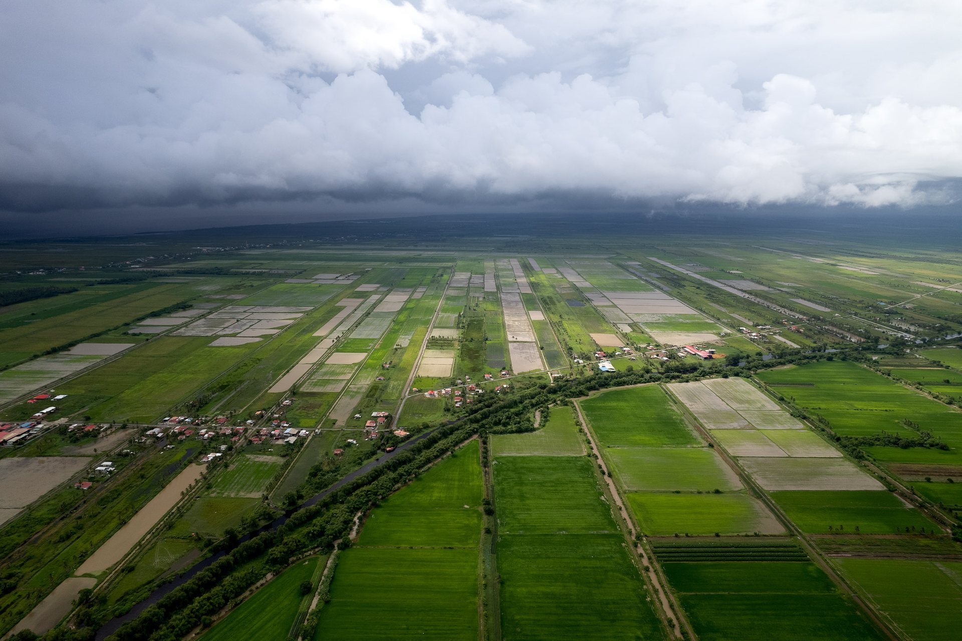 The coastal strip of land between the rainforest and the sea is where almost all of Guyana's population lives, and almost all of its cultivation happens.