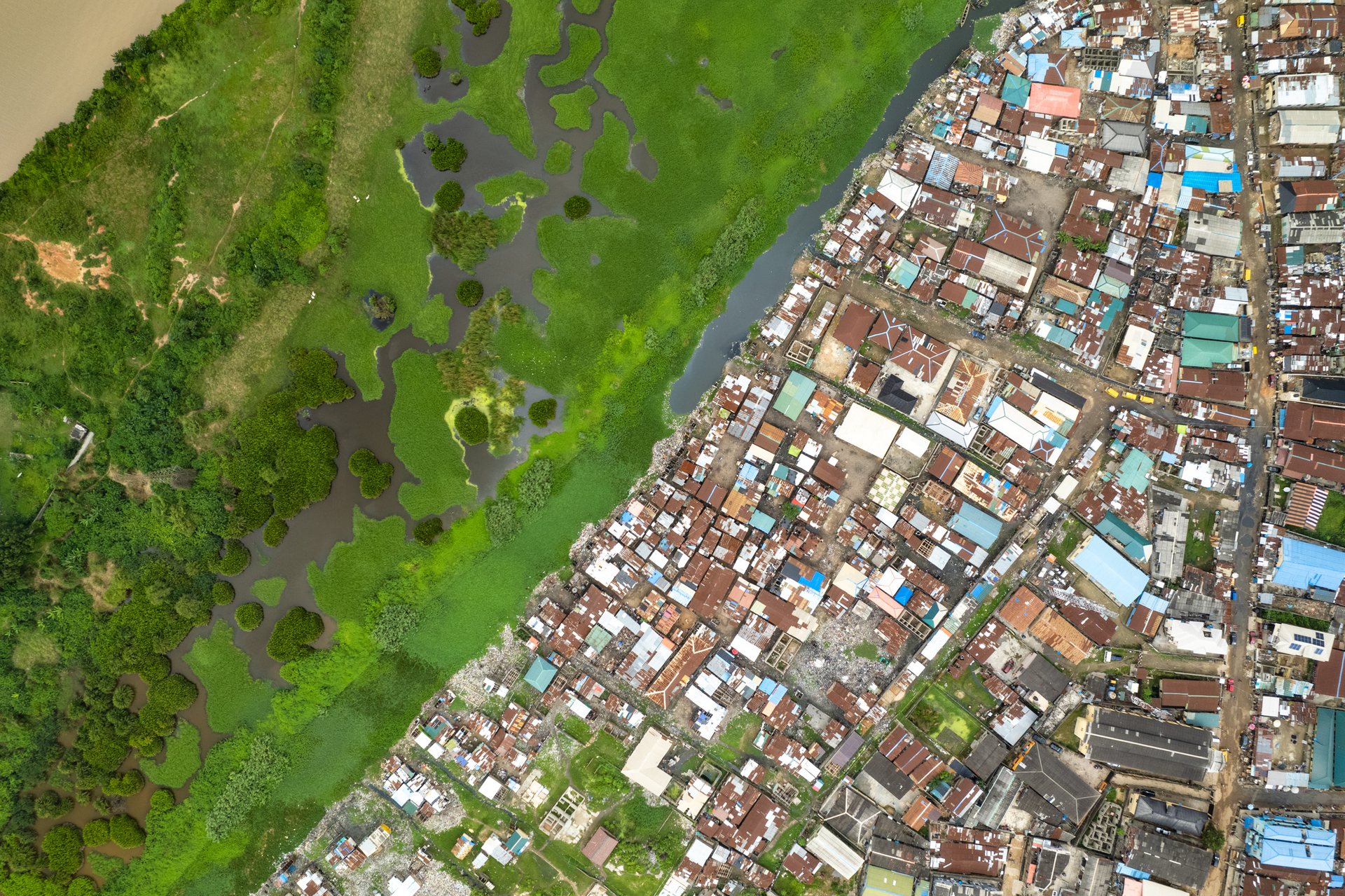 Makoko is separated from the Lagoon in part by a wetlands, which acts as a filter for some of the worst pollution from the informal area.