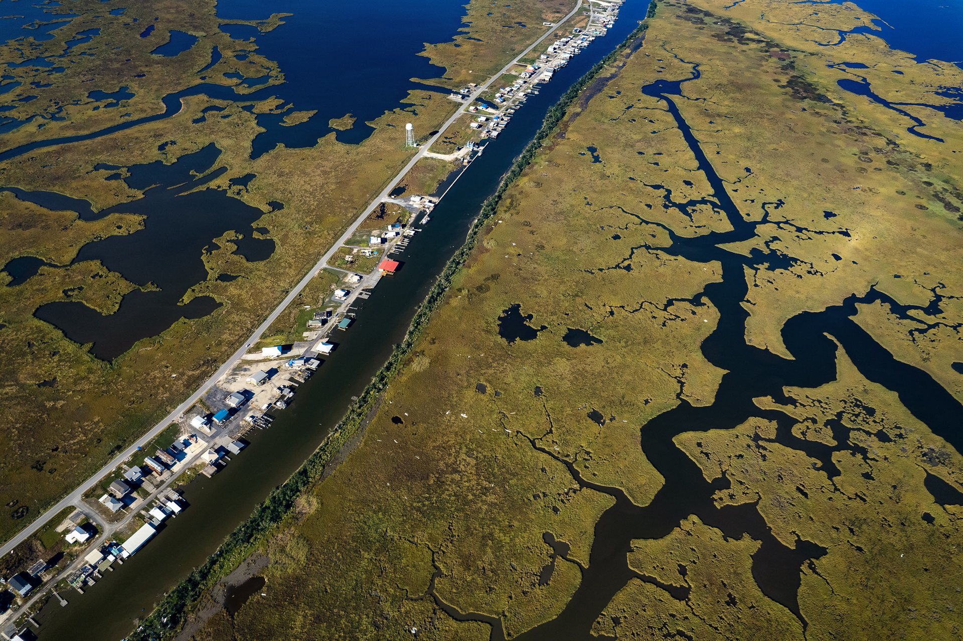 The long road through the delta to Cocodrie.