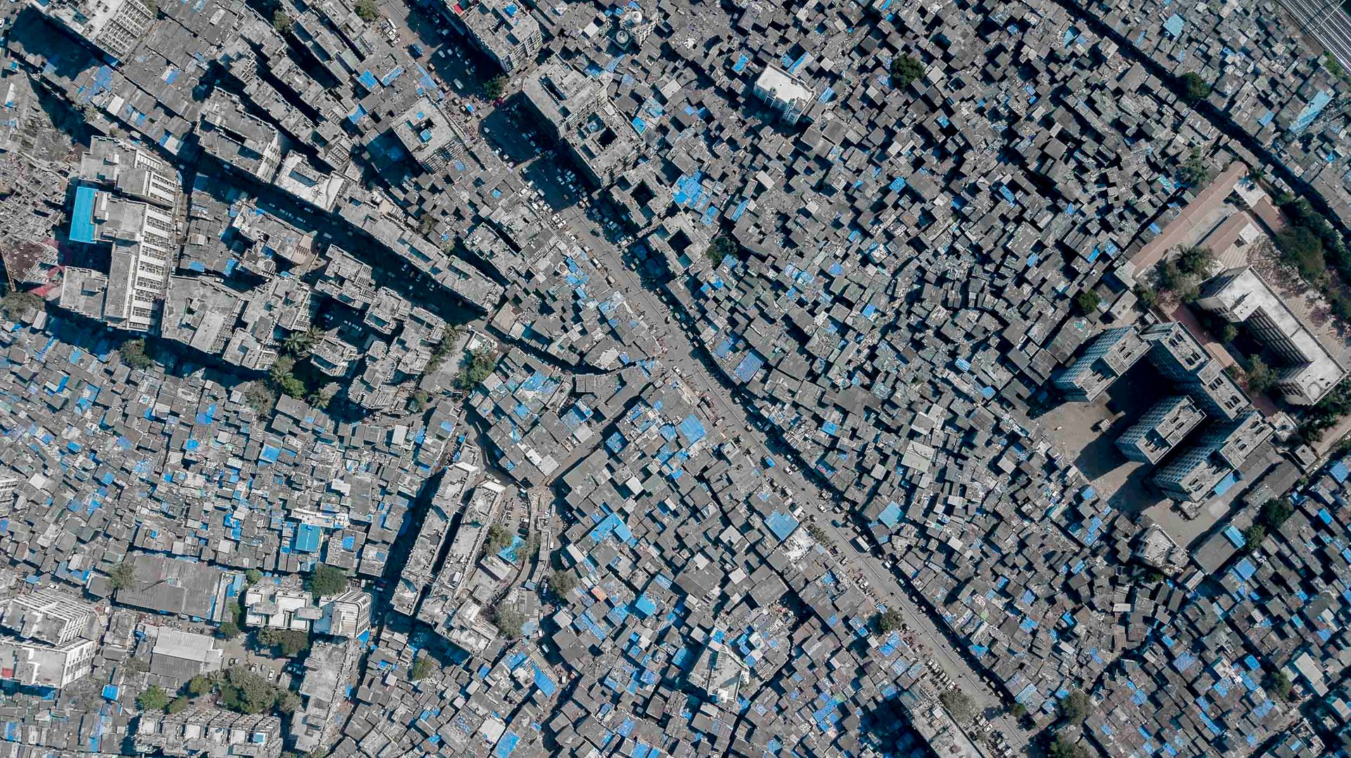 Overhead shot of Dharavi’s maze-like rooftops made of corrugated grey and blue material.