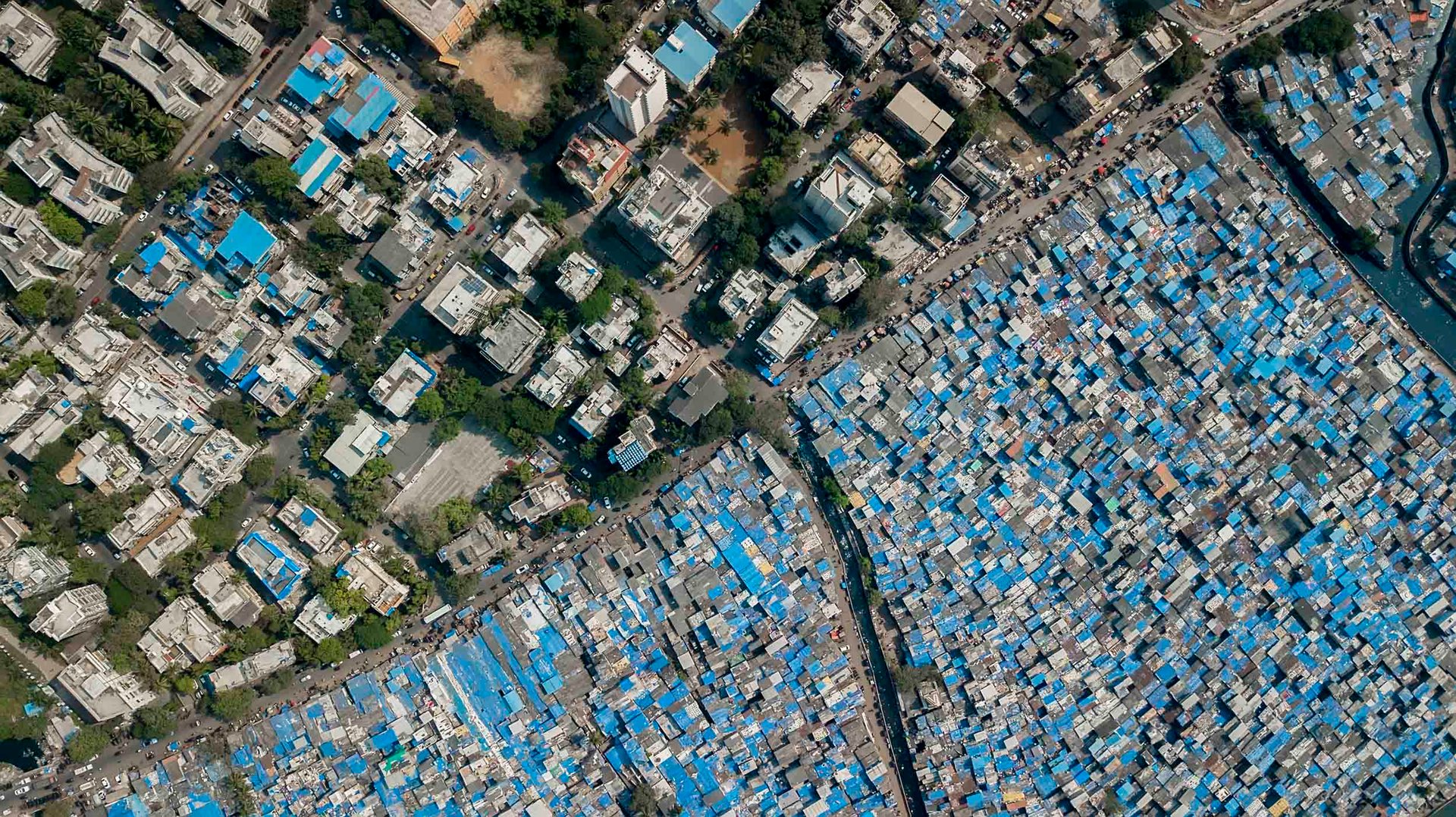 Blue tarped slum next to high rise buildings.