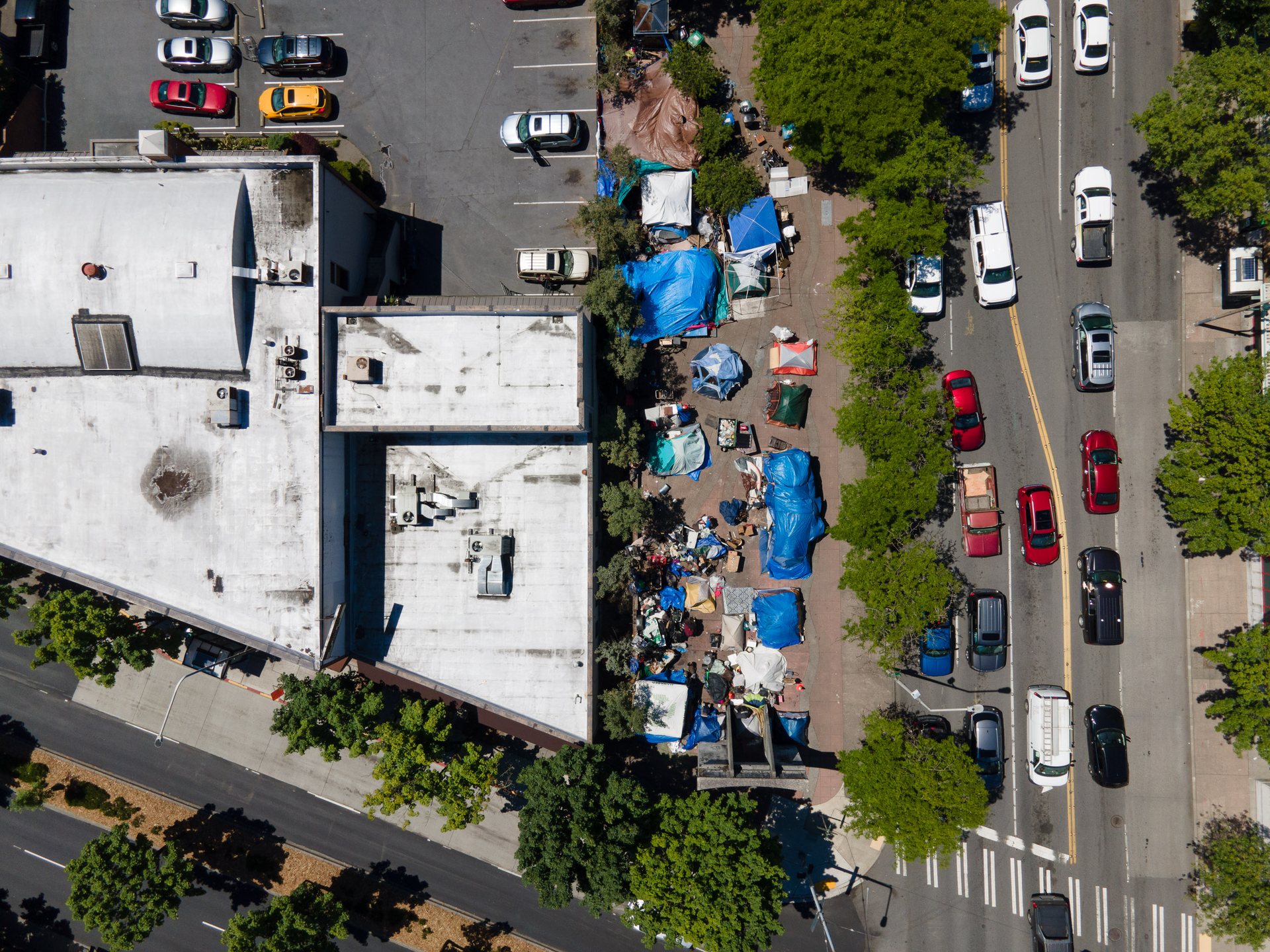 Tent camps alongside Lake City Way, near Lake Washington.
