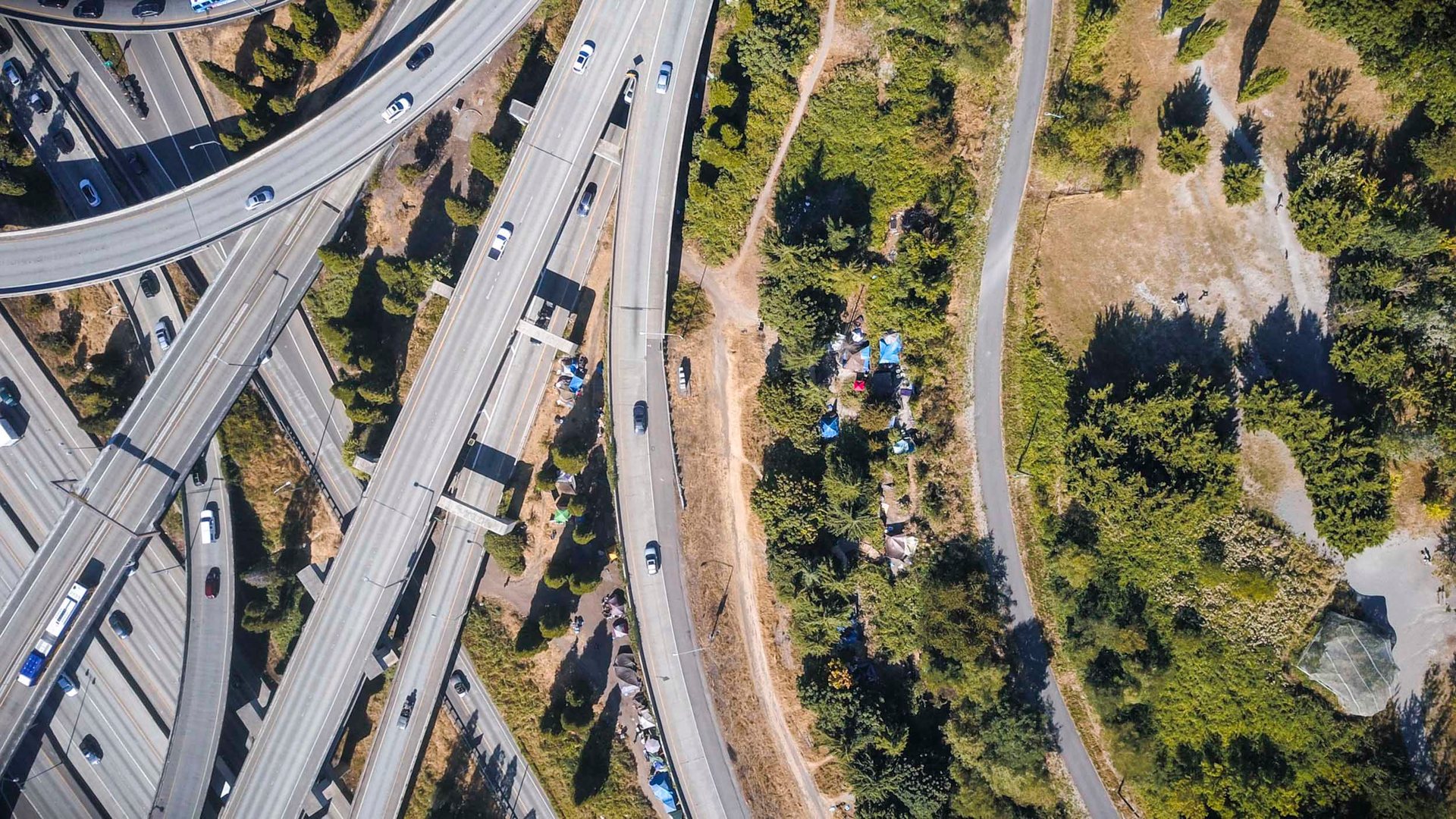 " The Jungle ", a famous strip of land underneath and alongside I-5, was once home to hundreds of homeless people.