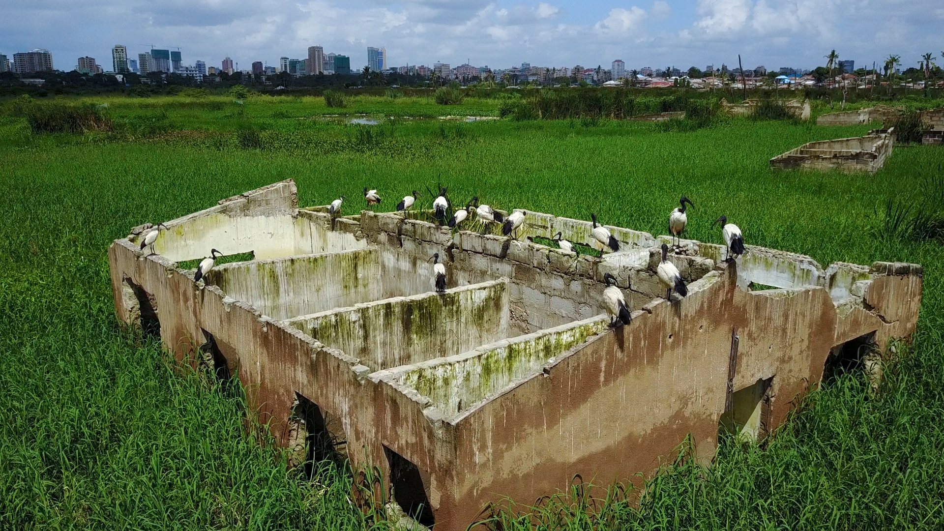 Abandoned homes in the Jangwani floodplain, Dar es Salaam.